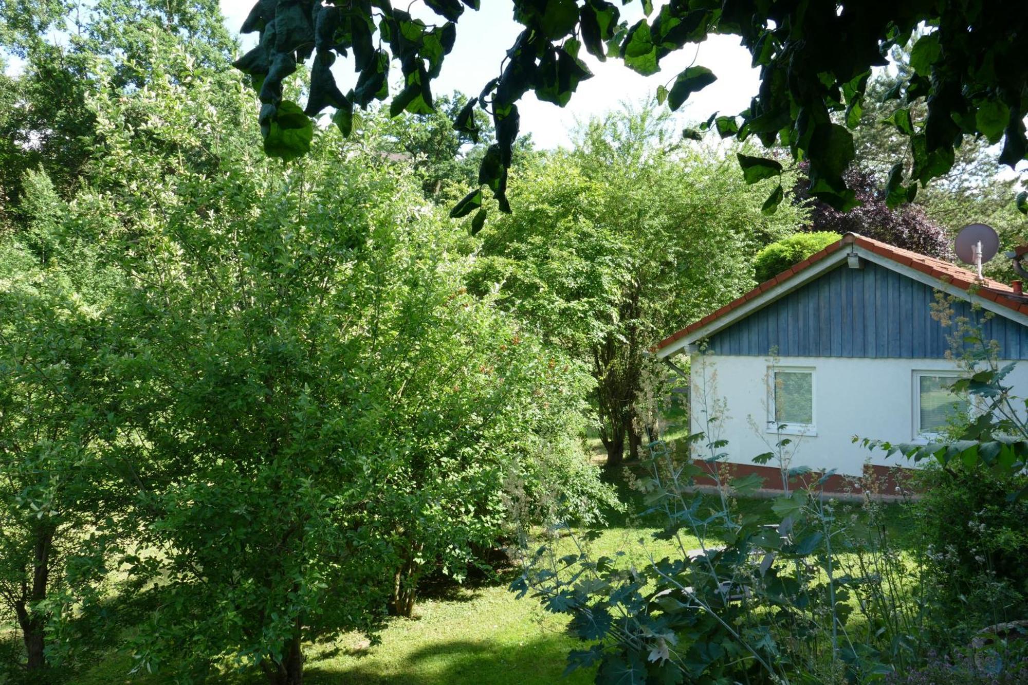 Landleben - Ferienhaus 2 Фритцлар Екстериор снимка